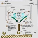 피트니스 209 이미지