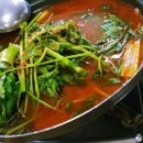 바버펫 이미지