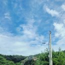 팜스퀘어 하늘타리 이미지