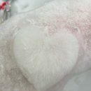 언니네 애견미용실 이미지