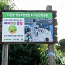 서리실힐링가족캠핑장 이미지