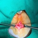 힐스타운 동물병원 이미지