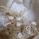 쑤기분식 이미지