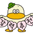 유정디자인 - 강남구 자곡로 172 | 유정디자인