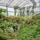 실미농장 이미지