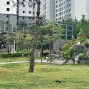 거봉PC방 이미지