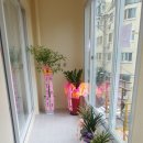 이안애비뉴 이미지