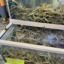 주문진항입구 교차로 이미지