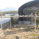 호박집 Daum카페