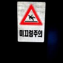 리플렉스 A 이미지