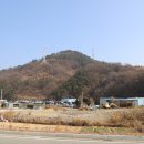 태금종합자원(주) Daum카페