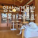 덕계농장 | 양산 애견 동반 카페 효효, 블루베리 농장 체험도 가능해요 내돈내산 솔직후기