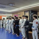 델타주짓수