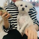 방배한강동물병원 이미지