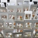 늘편한집 이미지