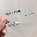시노헤어 이미지