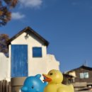 이리 마을회관(경로당) | 전주 여행 자만벽화마을 전주 볼거리 데이트