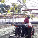 동부농업기술센터 이미지