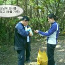 진등골 Daum카페