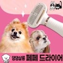 펫살롱 댕댕 이미지