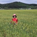 서해랑길 51코스 이미지