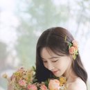 필스튜디오 이미지