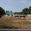 통도승마랜드 이미지