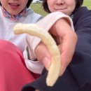 무주를 무지 사랑해