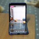 군침돌개 이미지