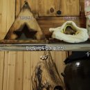 냥토피아 이미지