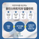 하나로치과기공소 이미지