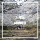 화원마을회관 | 거제도 서항마을 비밀의 화원(2017.04): 세 가지 난관