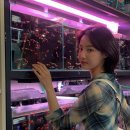 주식회사 연우 이미지