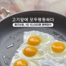고기앞에모두평등하다