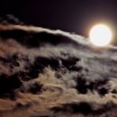 구름에달가듯이 이미지