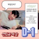 D-1 홍보이미지 이미지