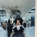 나루헤어샵 | 마곡나루역 히피펌 추천 | 26도헤어샵 다녀온 후기, 손상모도 가능한 히피펌
