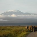 주)조이트래블여행사 이미지