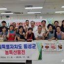 횡성안흥더덕 이미지