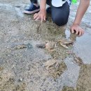 제주김녕한달 이미지