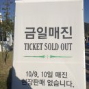 팔공티가평점 | 자라섬 국제째즈페스티벌 관람후기