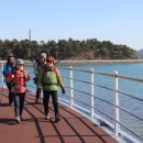 거류초등학교 이미지