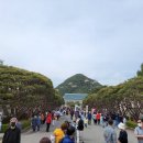 임흥수의 자연밥상 이미지