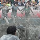 충남 보령 머드축제 이미지