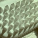 아이그루밍 이미지