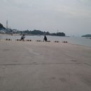 영목항바다민박 이미지