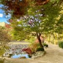 강원대학교 일반대학원 이미지