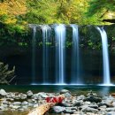 한국 비자 행정사 이미지