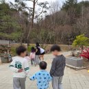 숲;79펜션 이미지