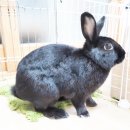 동진동물병원 이미지